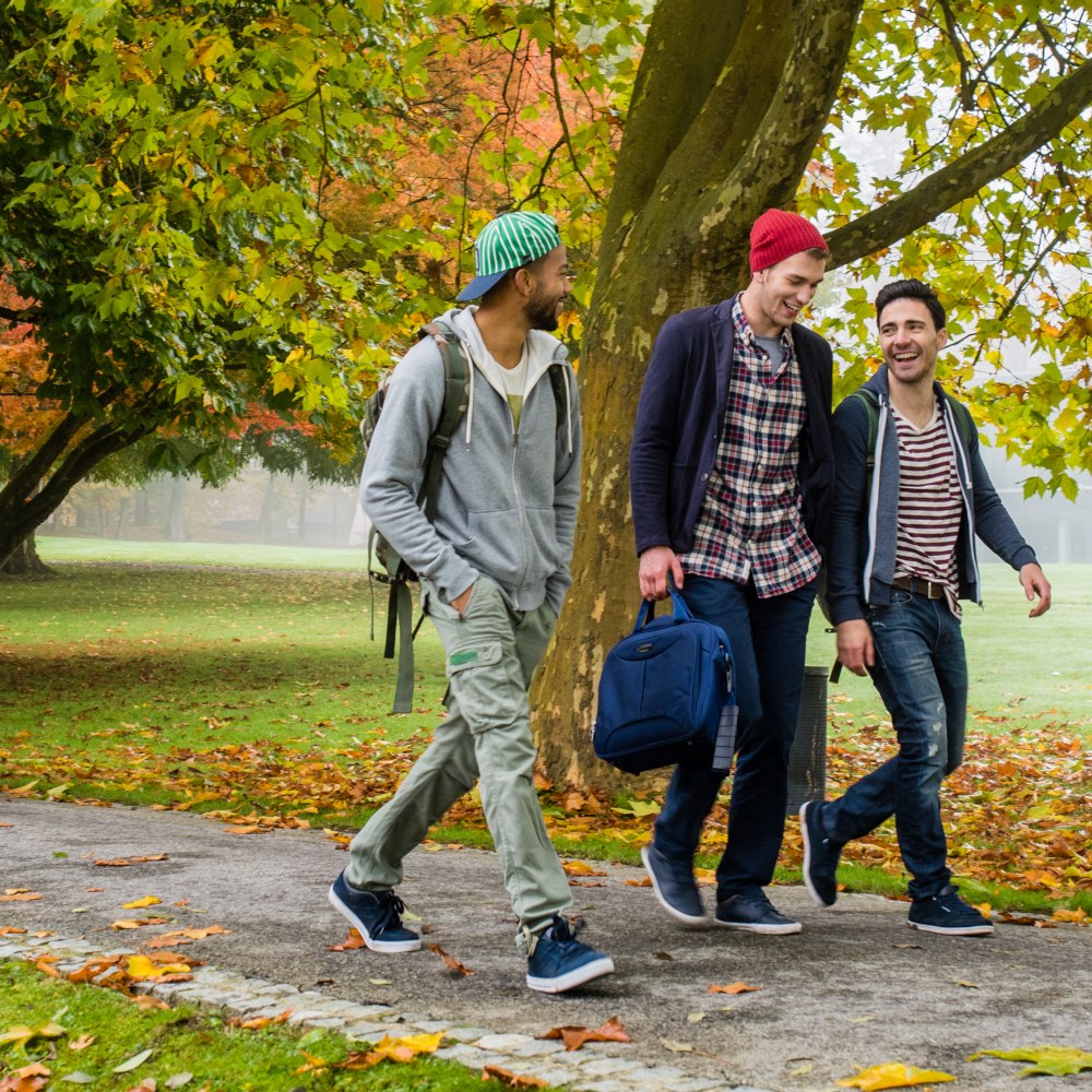 young men, students walking in a park